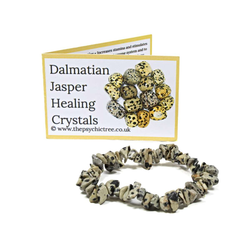 Dalmatian Jasper Stone Chip Bracelet
