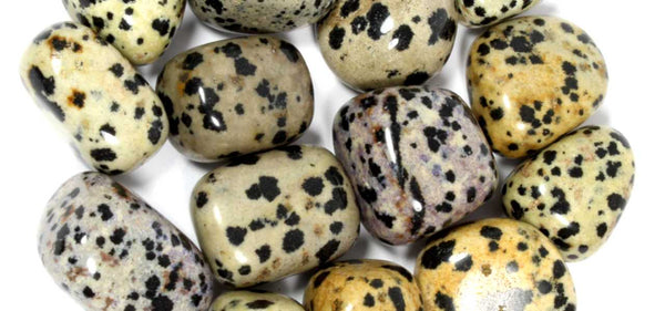 Dalmatian Jasper Healing Crystals