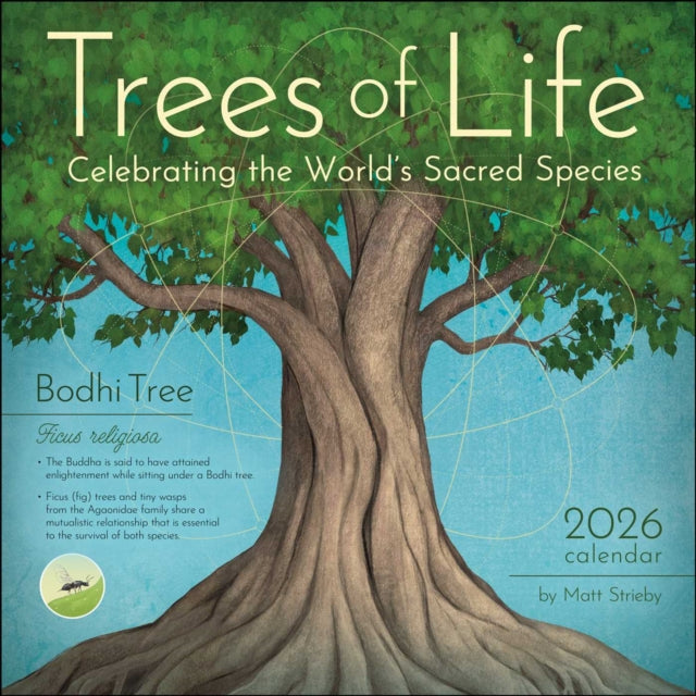 Trees of Life 2026 Wall Calendar : Celebrating the World's Sacred Species