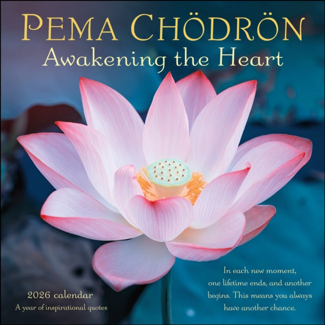Pema Chodron 2026 Wall Calendar : Awakening the Heart—A Year of Inspiring Quotes
