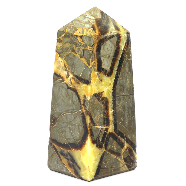 Septarian Point (1017g)