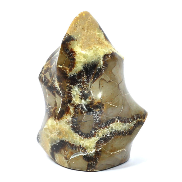 Septarian Flame (224g)