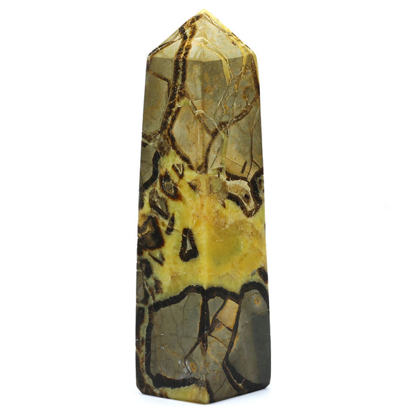 Septarian Point (2746g)