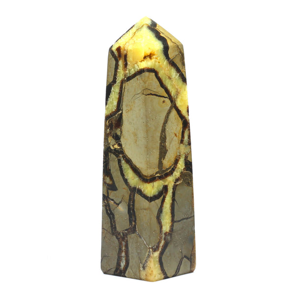 Septarian Point (2176g)