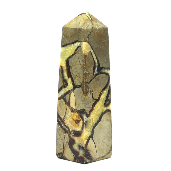 Septarian Point (1636g)
