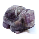 Amethyst Spirit Animal - The Tortoise