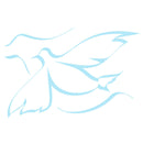 Angel Guidance - Mini Email Reading By Jillian Duncan