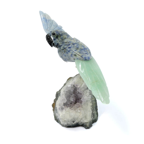 Sodalite & Amazonite Parrot - The Voice Of Harmony (162g)