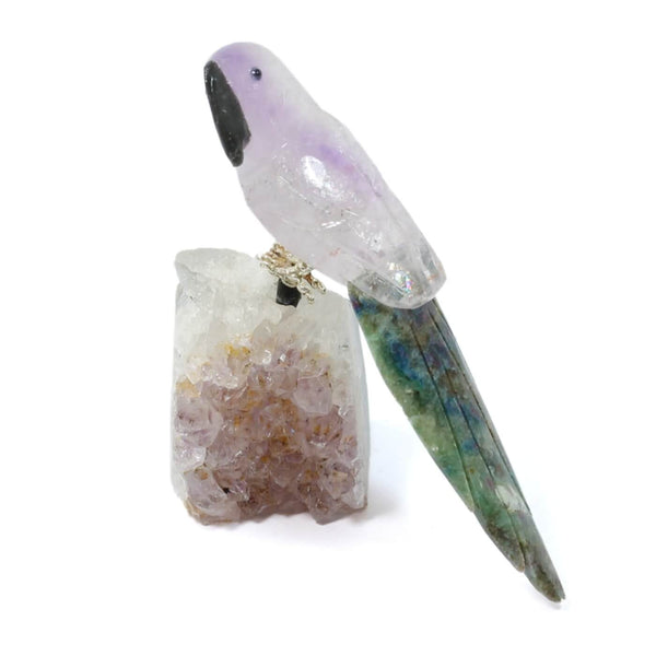 Amethyst & Ruby Zoisite Parrot - The Mystic Guardian (138g)