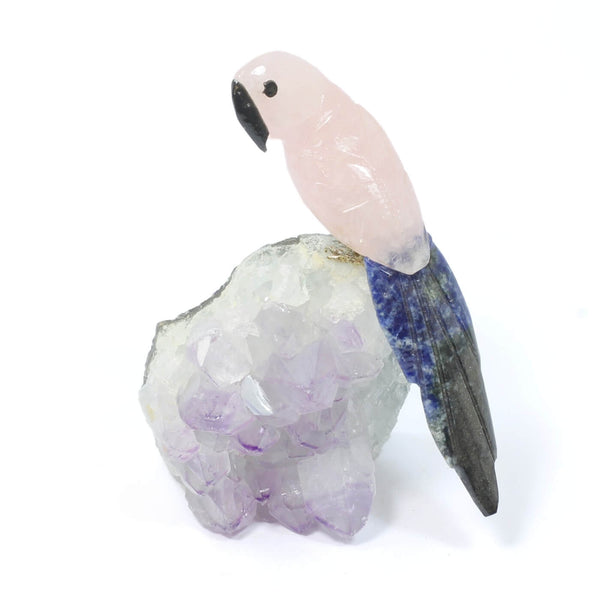 Rose Quartz & Sodalite Parrot - The Harmony Seeker (236g)