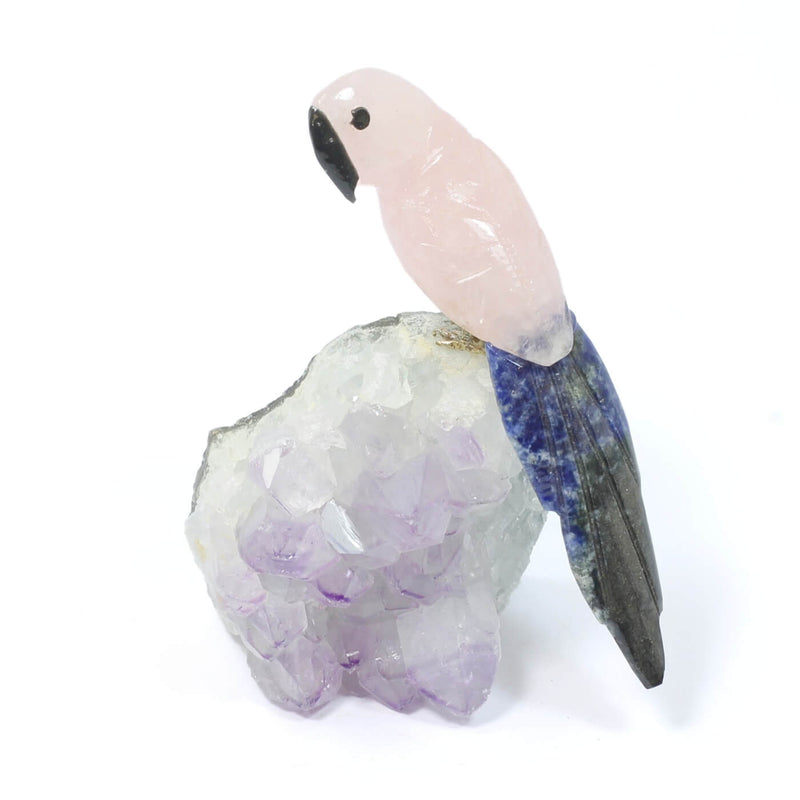 Rose Quartz & Sodalite Parrot - The Harmony Seeker (236g)