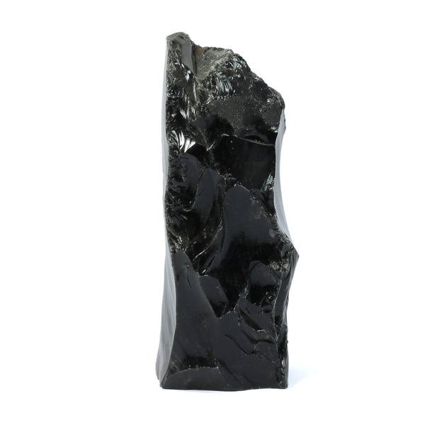 Black Obsidian Guardian Of Shadows (1571g)