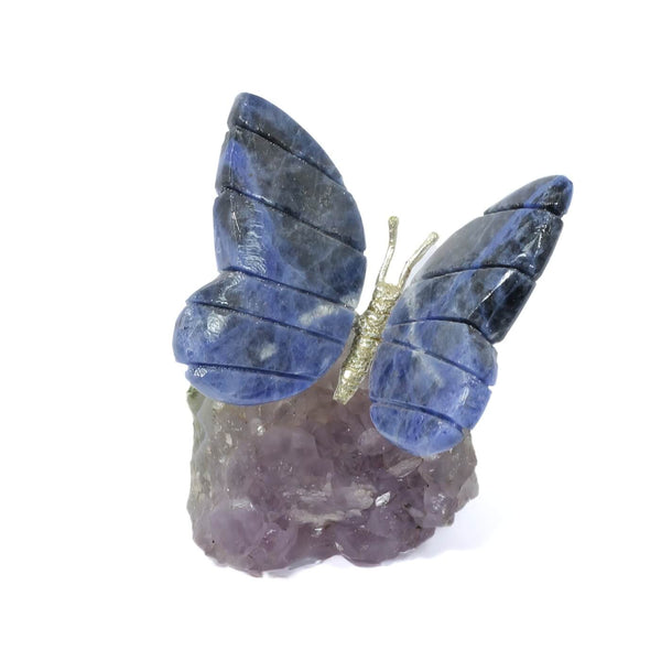 Agate Butterfly With Amethyst Cluster (196g)