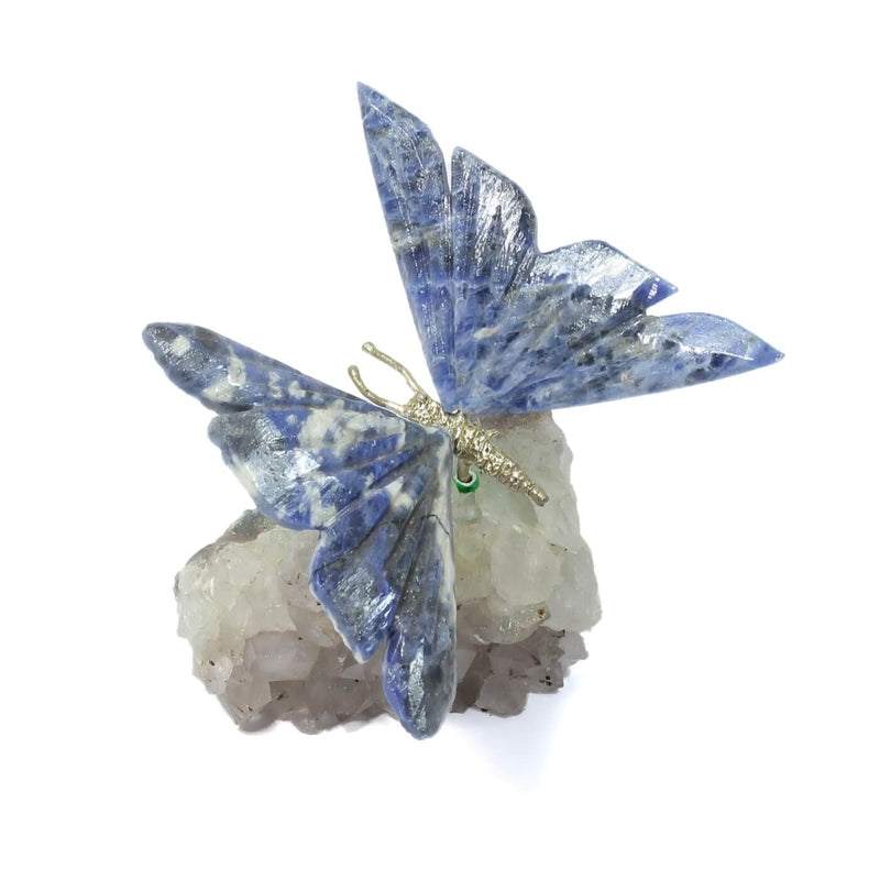 Agate Butterfly With Amethyst Cluster (248g)