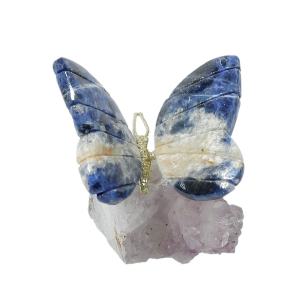 Agate Butterfly With Amethyst Cluster (189g)