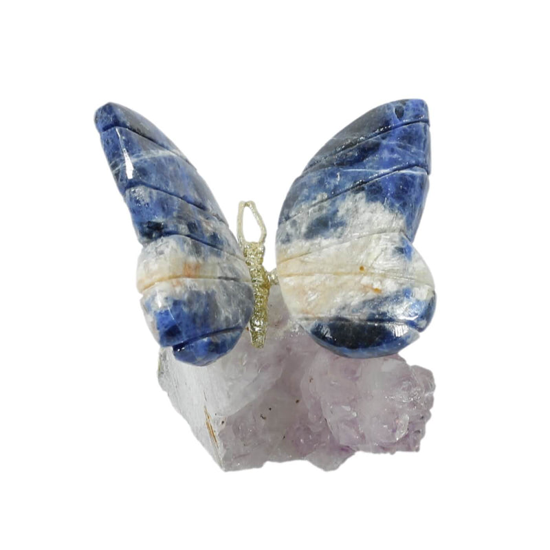 Agate Butterfly With Amethyst Cluster (189g)