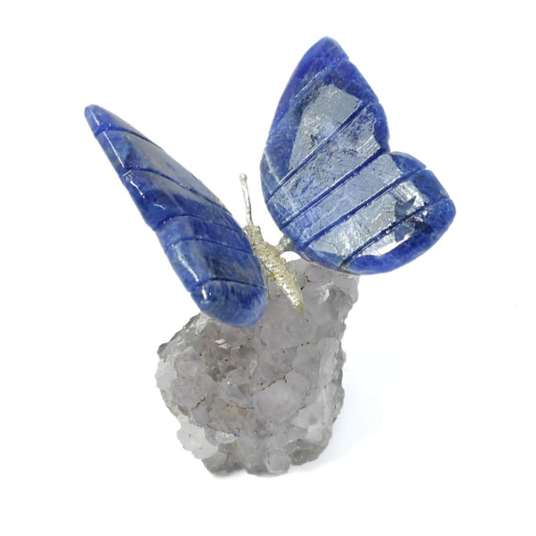 Agate Butterfly With Amethyst Cluster (213g)