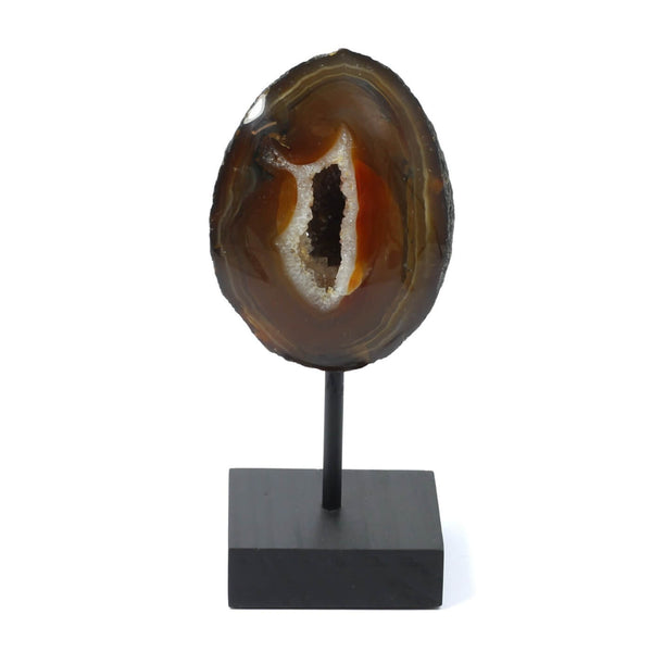 Polished Agate Formation - The Genesis Stone (620g)