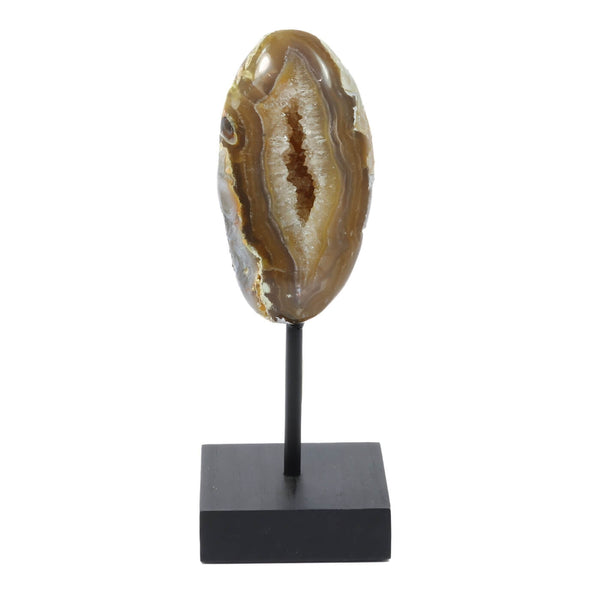 Polished Agate Formation - The Genesis Stone (503g)