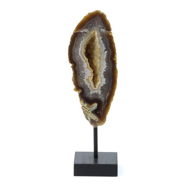 Polished Agate Formation - The Genesis Stone (953g)