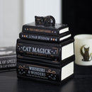 Black Cat Book Stack Oil Burner With Cat
