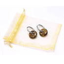 Gold Tiger's Eye Power Ring Hoop Earrings for Strength & Courage