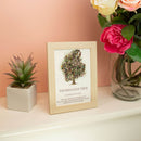 Tree of Life Gemstone Picture - Tourmaline