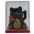 Mini Solar Powered Money Cat in a Box - Black