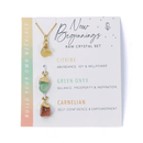 Interchangeable Healing Crystal Necklace - New Beginnings