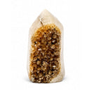 Citrine Cluster Point (270g)