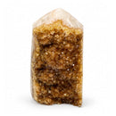 Citrine Cluster Point (322g)