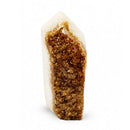 Citrine Cluster Point (275g)