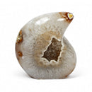 Agate Raindrop (1241g)