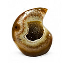 Agate Raindrop (642g)