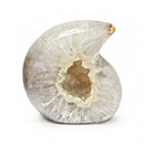 Agate Raindrop (514g)