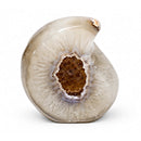 Agate Raindrop (825g)