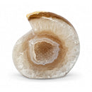 Agate Raindrop (381g)