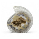 Agate Raindrop (377g)