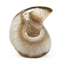 Agate Raindrop (472g)