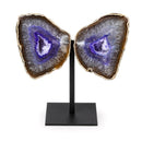 Agate Geode Crystal Butterfly (1090g)