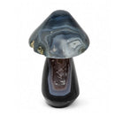 Agate Toadstool (467g)