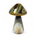 Agate Toadstool (610g)