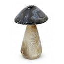 Agate Toadstool (630g)