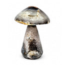 Agate Toadstool (741g)