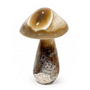 Agate Toadstool (578g)