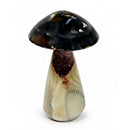 Agate Toadstool (446g)