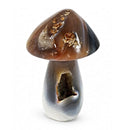 Agate Toadstool (435g)