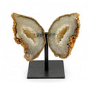 Agate Geode Crystal Butterfly (497g)
