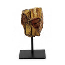 Gold Tigers Eye - The Stone Of Courage (536g)