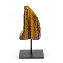 Gold Tigers Eye - The Stone Of Courage (361g)
